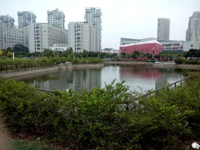 优米-CROSS-C1-实拍图
