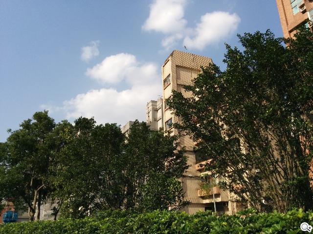 谷歌-Nexus-5-实拍图