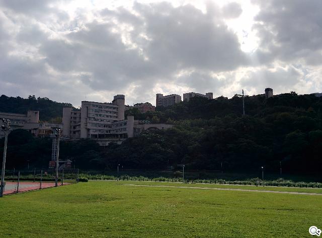 谷歌-Nexus-5-实拍图
