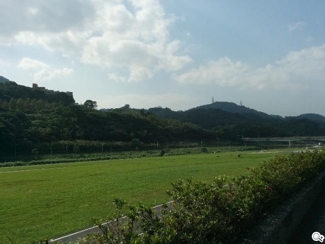 谷歌-Nexus-5-实拍图