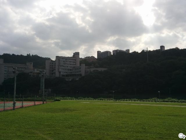 谷歌-Nexus-5-实拍图