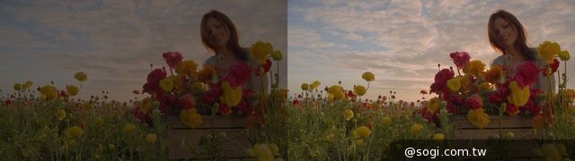 最新杜比Vision技術提供亮度、色彩與對比度逼真的圖像