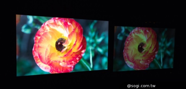 最新杜比Vision技術提供亮度、色彩與對比度逼真的圖像