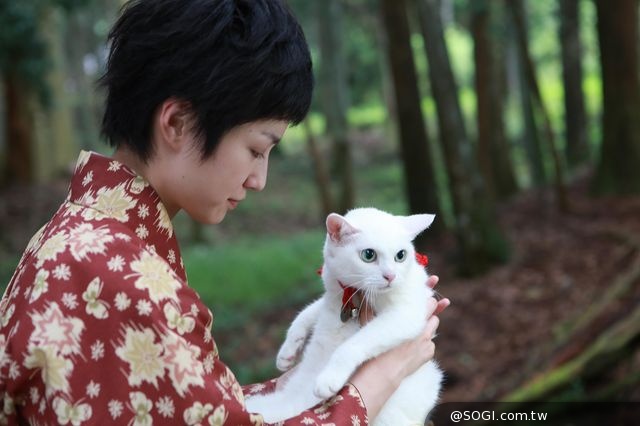 玉之丞的傲娇组合即将萌发你心喔!