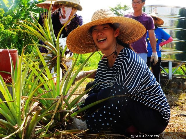 教育不一樣「2014 年神腦愛心小農場教師工作坊」培植希望 教育不一樣「2014 年神腦愛心小農場教師工作坊」培植希望