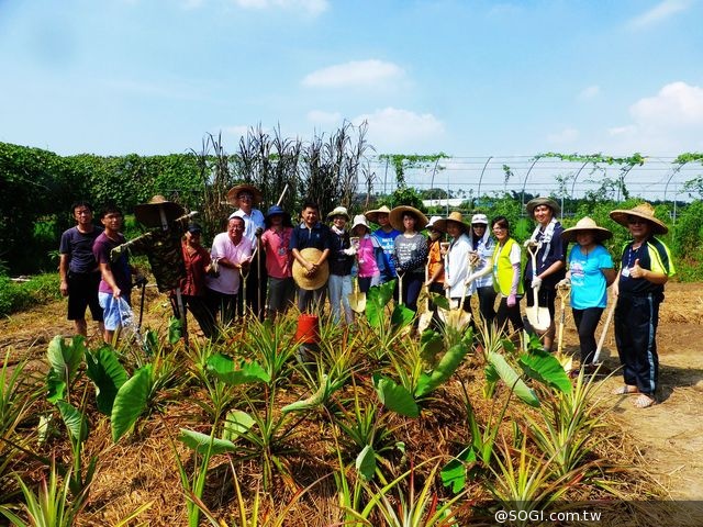 教育不一樣「2014 年神腦愛心小農場教師工作坊」培植希望 教育不一樣「2014 年神腦愛心小農場教師工作坊」培植希望