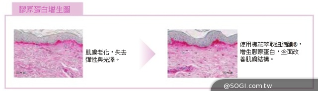 「光燦新肌晶透露」第一瓶素肌發光的精華露 「光燦新肌晶透露」第一瓶素肌發光的精華露