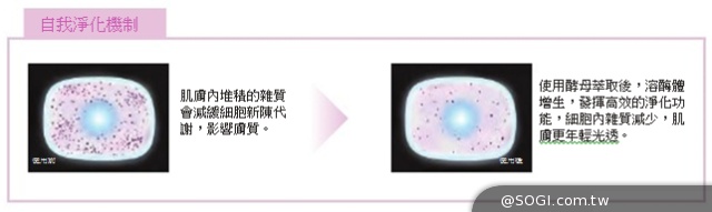 「光燦新肌晶透露」第一瓶素肌發光的精華露 「光燦新肌晶透露」第一瓶素肌發光的精華露