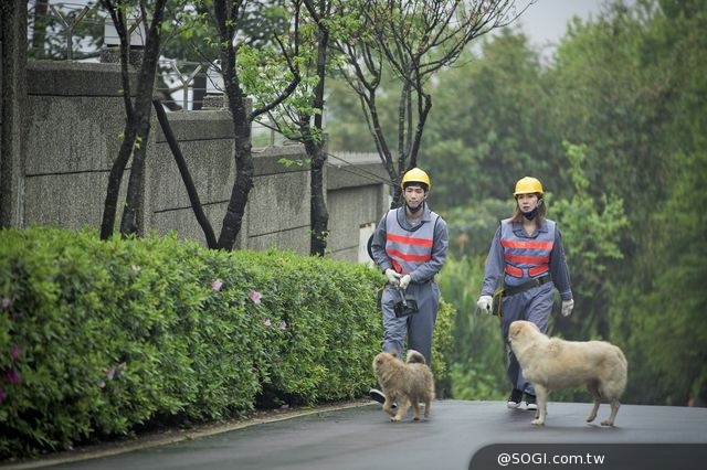 《活路》楊謹華樂當推理女王 穿上性感OL套裝 火辣挑逗吳大維 《活路》楊謹華樂當推理女王 穿上性感OL套裝 火辣挑逗吳大維