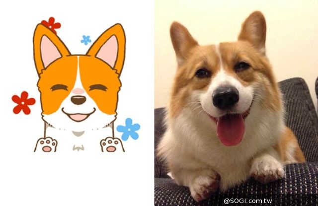 WeChat攜手「3c有意思tim哥」私房寵物「OLi Doggie」 免費動態貼圖 WeChat攜手「3c有意思tim哥」私房寵物「OLi Doggie」 免費動態貼圖
