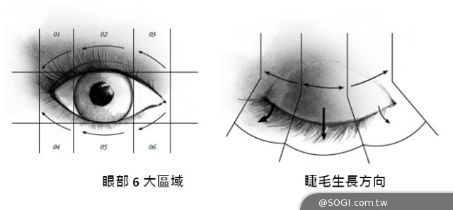 GRANDIÔSE 史上第一支天鵝S型刷頭睫毛膏 創造羽扇般纖長美睫 GRANDIÔSE 史上第一支天鵝S型刷頭睫毛膏 創造羽扇般纖長美睫