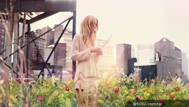 Coach Poppy Wildflower恣意綻放淡香精 狂野性感魅力限量上市 Coach Poppy Wildflower恣意綻放淡香精 狂野性感魅力限量上市