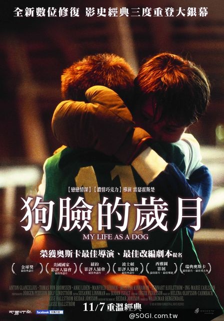 《狗臉的歲月》我願重溫無悔的童年 影史經典全新數位修復 《狗臉的歲月》我願重溫無悔的童年 影史經典全新數位修復