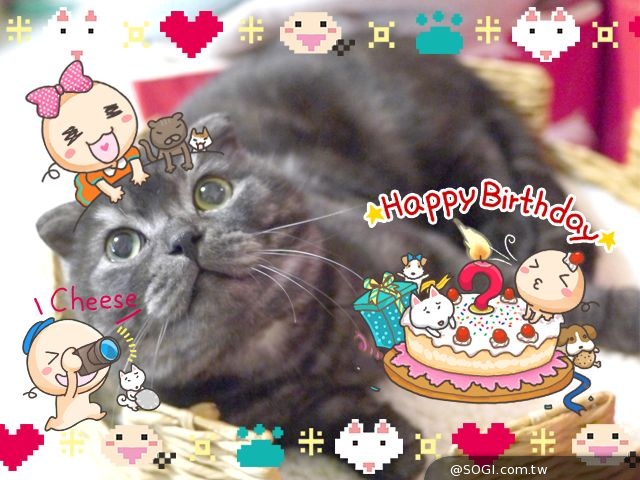 LINE camera首款台灣插畫家相機貼圖「彎彎」登場 感受台灣味