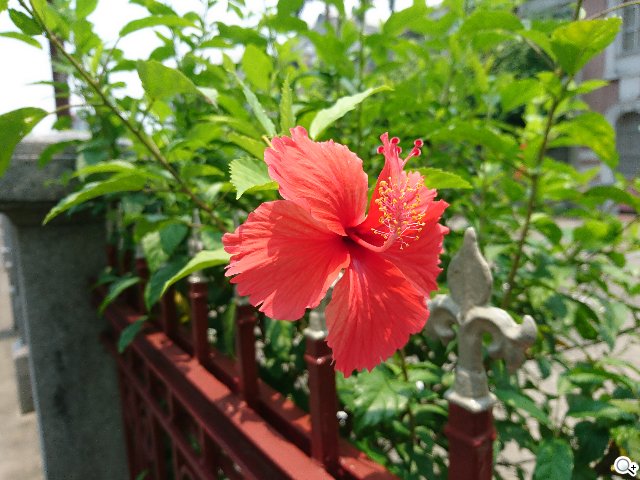0.6秒快启快拍:索尼Xperia X拍照体验 0.6秒快启快拍:索尼Xperia X拍照体验